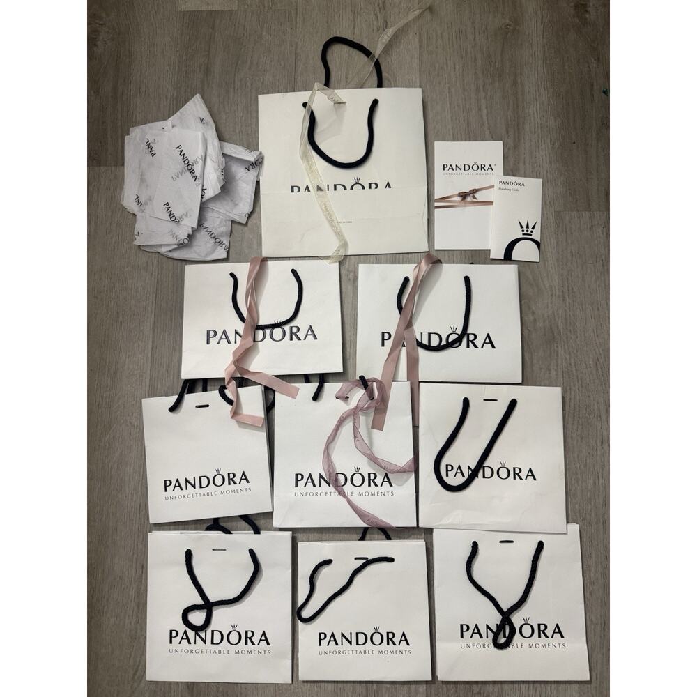 Pandora Gift Bag Lot Bundle Authentic Packaging Bags Tissue Ribbon Cards Set